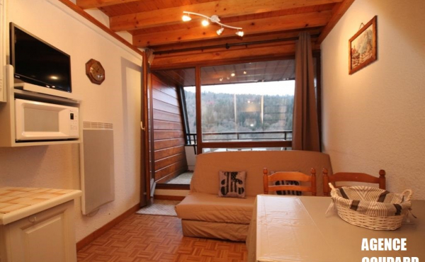 JAV46 SALON JANV 2015