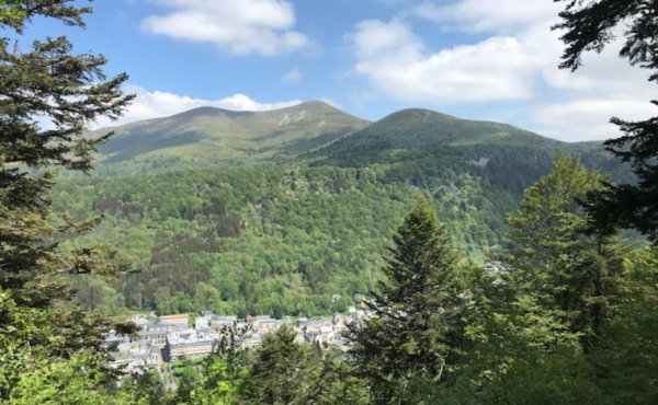 0000920008_12-triangle